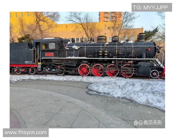 沈阳足球明星雕像事件引发的社会热议与文化反思探讨